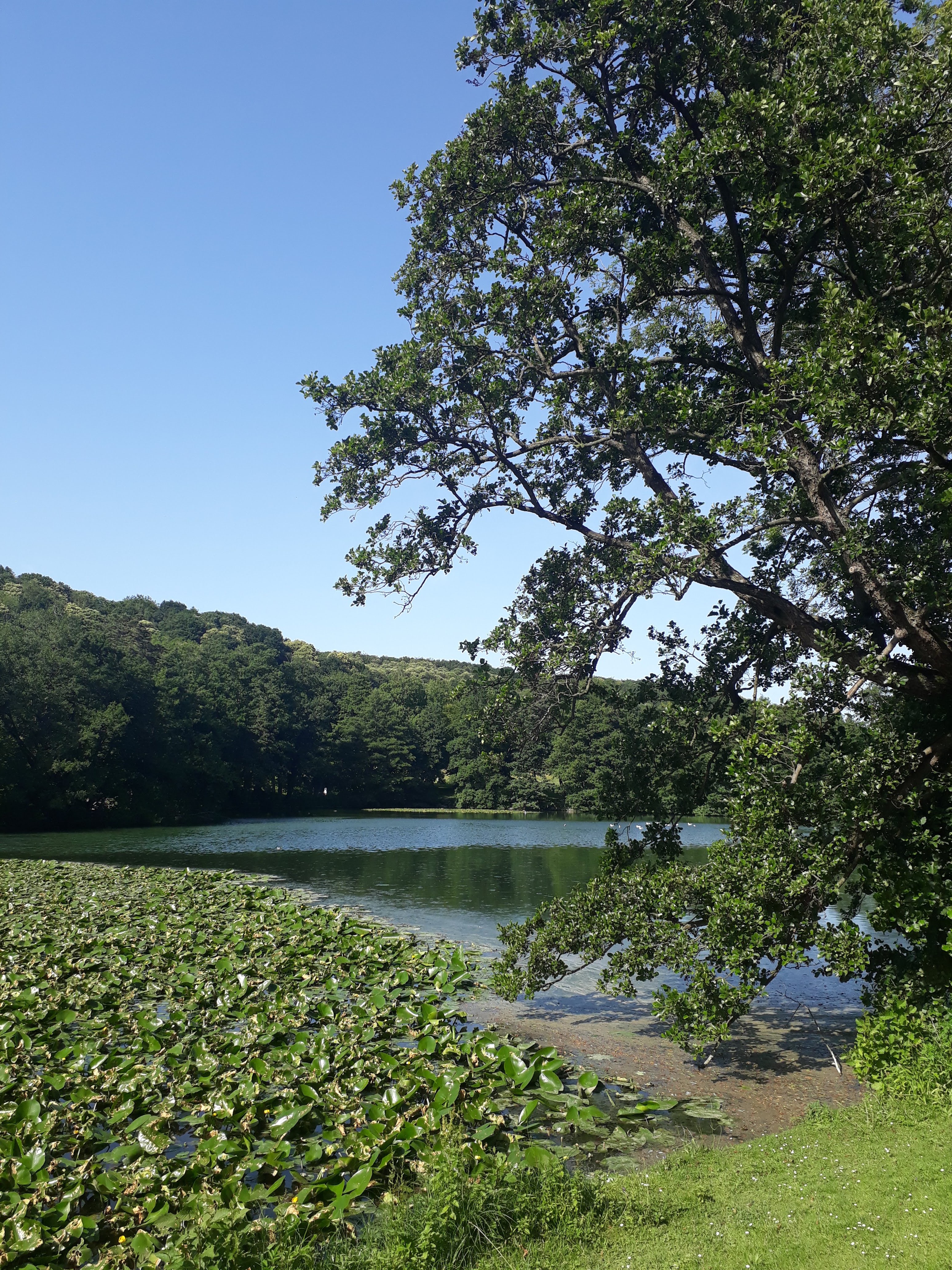 Photo n° 2 de l'avis de Rem.a fait le 29/06/2019 à 17:25