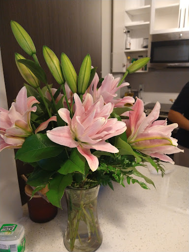 Florist «Chantilly Flowers», reviews and photos, 14514 Lee Rd E, Chantilly, VA 20151, USA