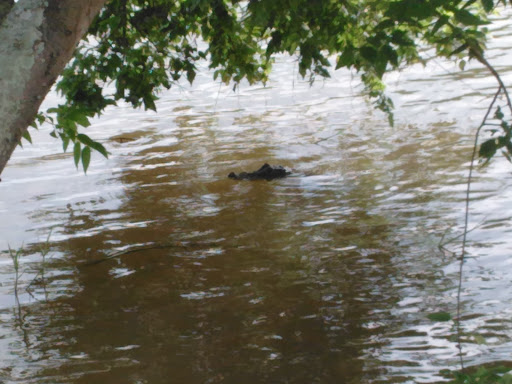 RV Park «Oyster Creek RV Ranch», reviews and photos, 2815 FM 523 Road, Oyster Creek, TX 77541, USA