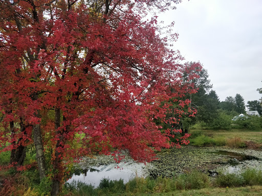 National Reserve «Assabet River National Wildlife Refuge», reviews and photos, 680 Hudson Road, Sudbury, MA 01776, USA