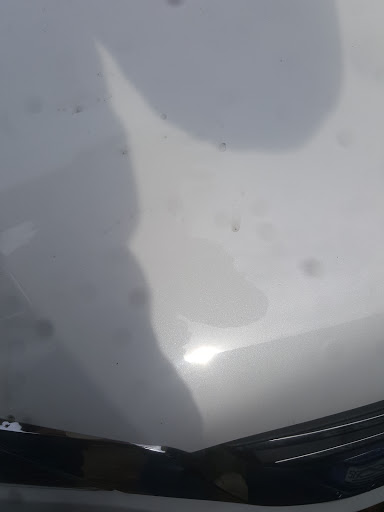 Car Wash «Ultimate Car Wash», reviews and photos, 321 S Federal Hwy, Dania Beach, FL 33004, USA