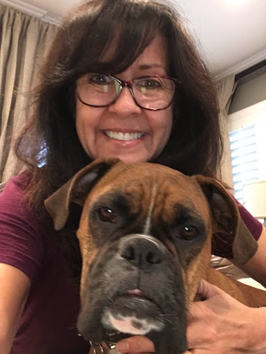 Insurance Agency «Insurance Solutions», reviews and photos