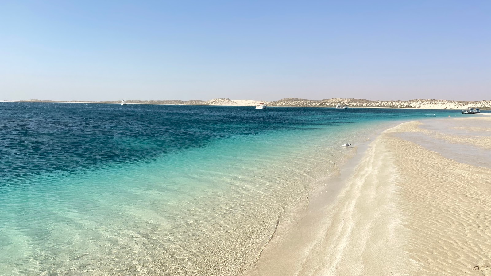 Coral Bay Beach photo #8