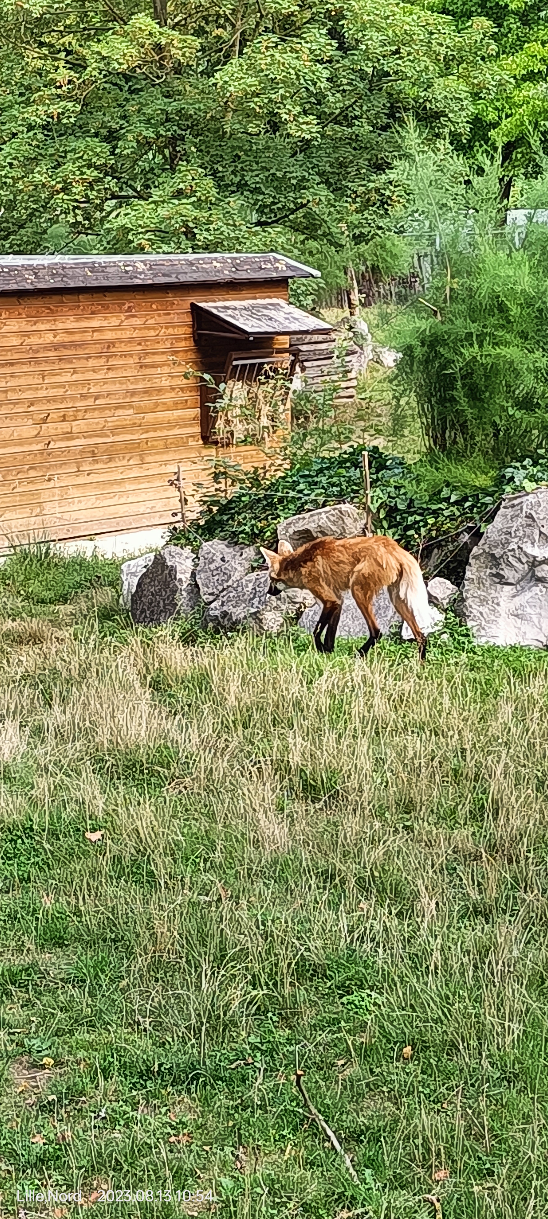 Photo n° 9 de l'avis de Chloe.r fait le 15/08/2023 à 11:04