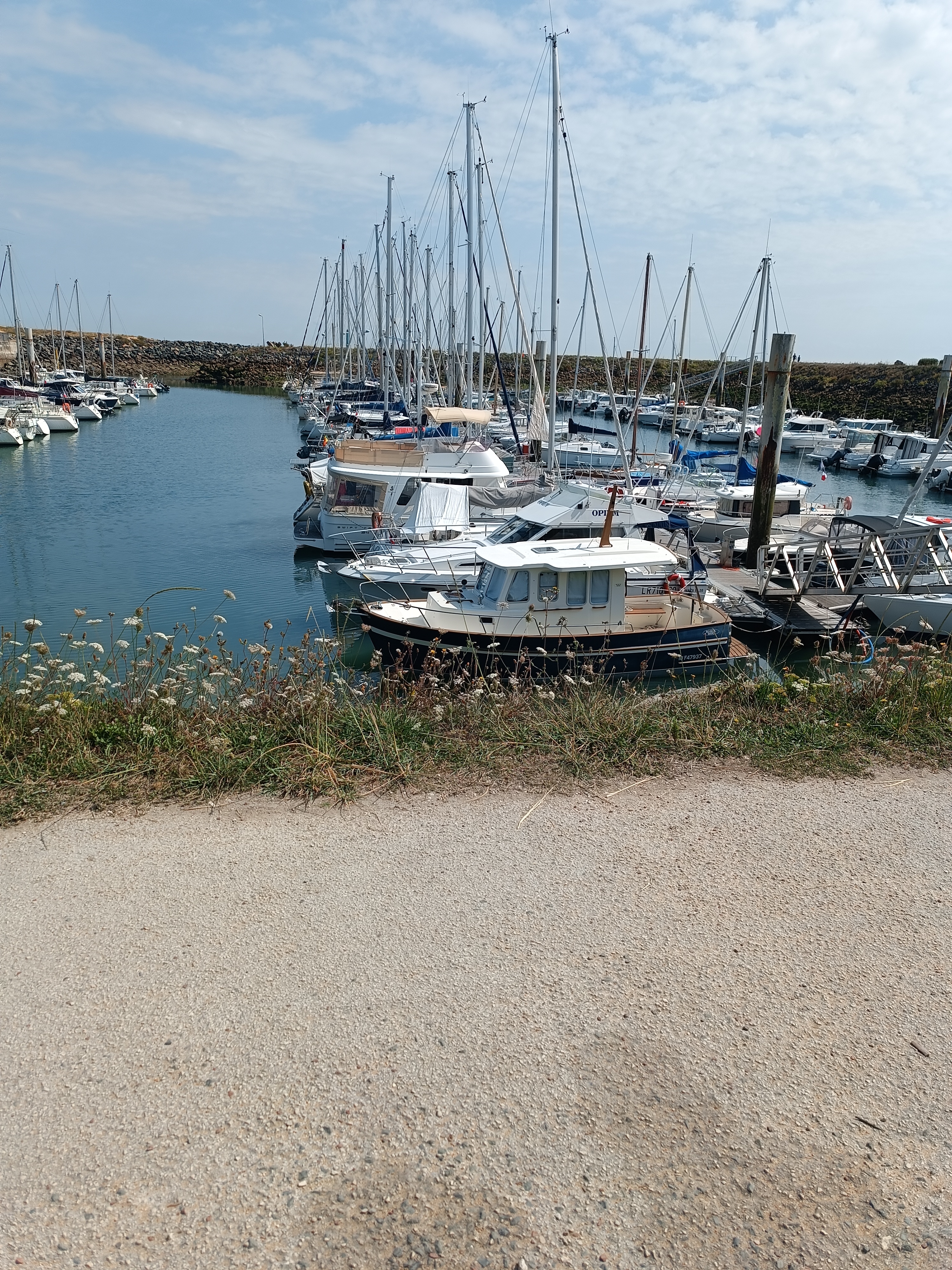 Photo n° 9 de l'avis de Bérénice.' fait le 20/08/2023 à 08:41