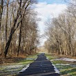 Paint Branch Stream Valley Park