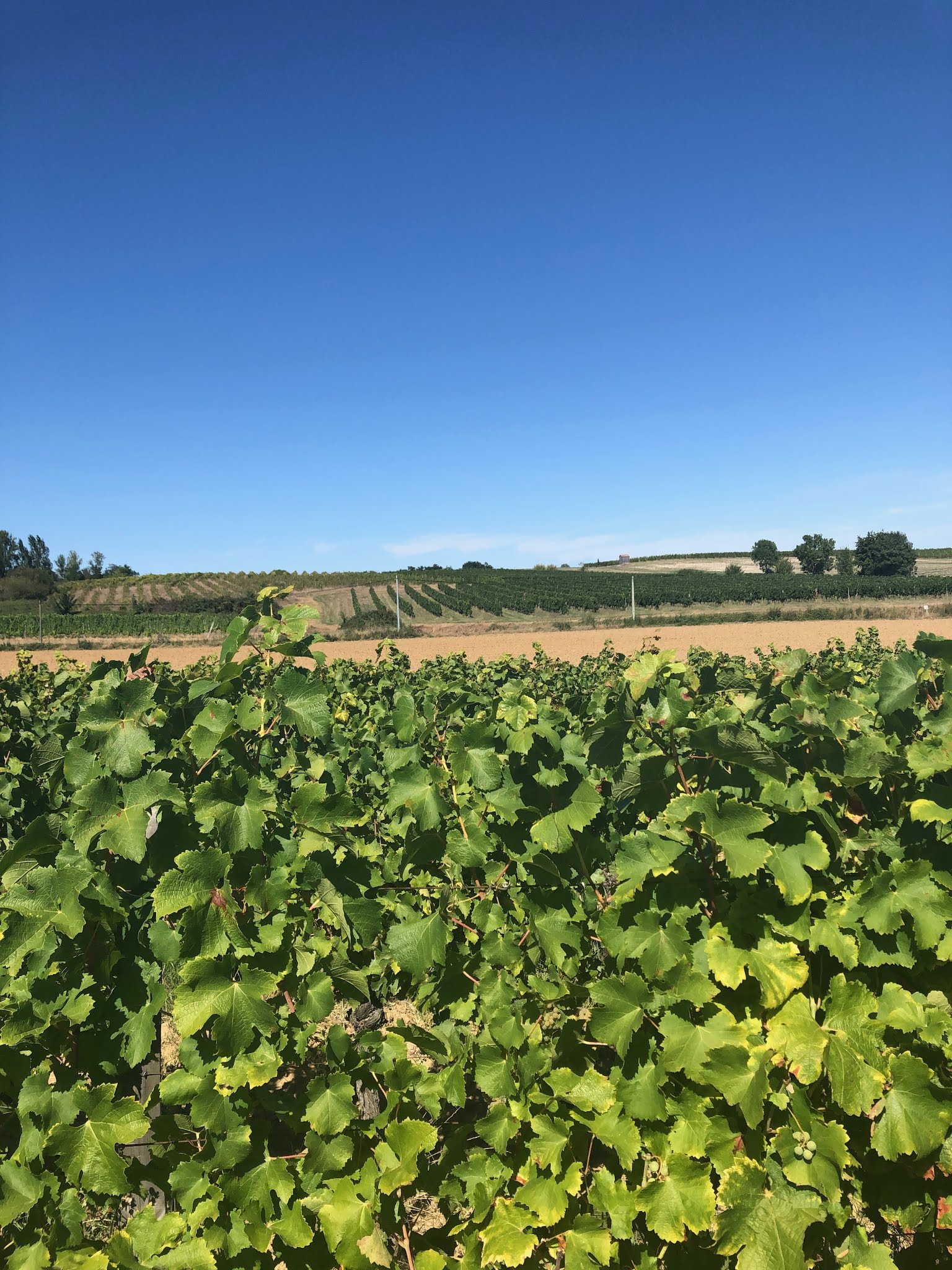 Photo n° 1 de l'avis de Claire.a fait le 12/09/2019 à 10:52