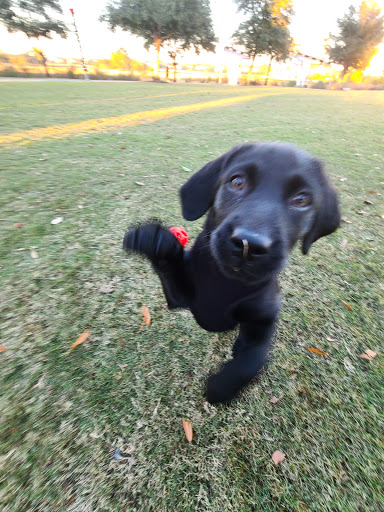 Water Park «Memorial Waterfront Park», reviews and photos, 99 Harry M. Hallman Jr Blvd, Mt Pleasant, SC 29464, USA