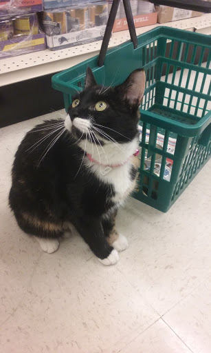 Pet Supply Store «Concord Pet Foods & Supplies», reviews and photos, 15 S Dupont Hwy, Dover, DE 19901, USA