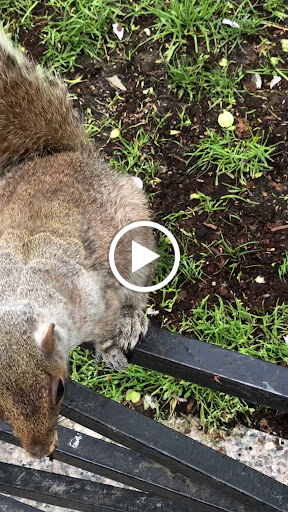 Movie Theater «Regal Union Square Stadium 14», reviews and photos, 850 Broadway, New York, NY 10003, USA