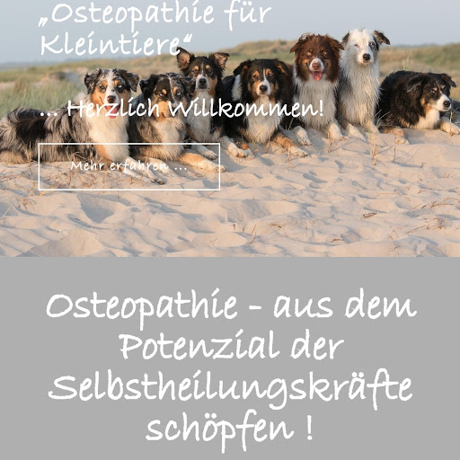 Tierarztpraxis Antje Brendel - Osteopathie - Homöopathie - Phytoptherapie - Tönning - Eiderstedt - Nordfriesland - Heilpraxis unter Tönning, 