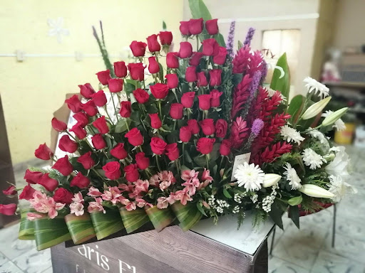 Florería Santiago Momentum