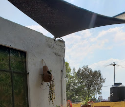 Coyohouse Bed & Breakfast photo