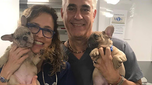  alt='St Francis Vet Mobil saved my dog’s life! Dr Jose Cerna and the staff at St Francis acted fast and efficiently to get my'