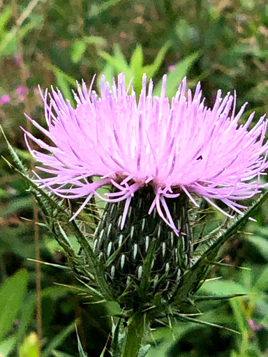 Nature Preserve «Rancocas Nature Center», reviews and photos, 794 Rancocas Mt Holly Rd, Westampton, NJ 08060, USA