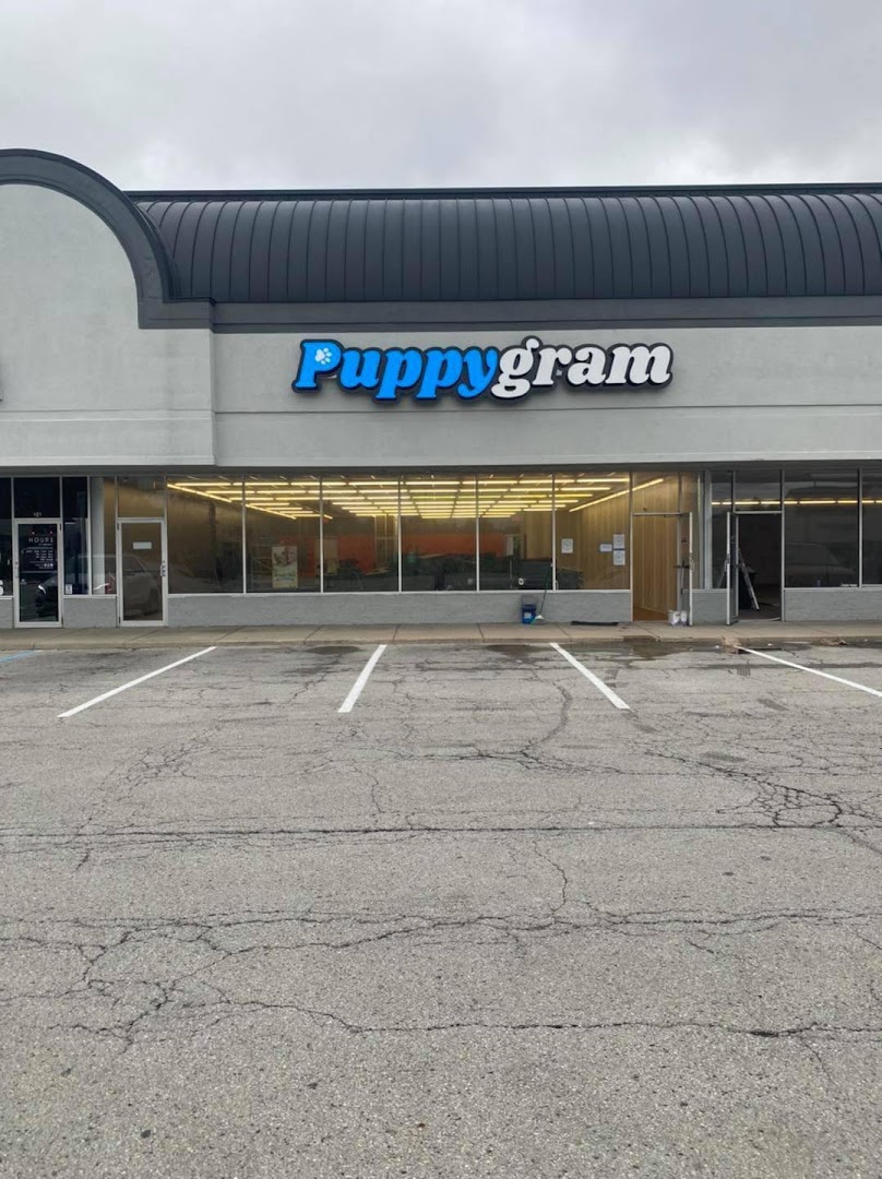 Puppygram Indiana