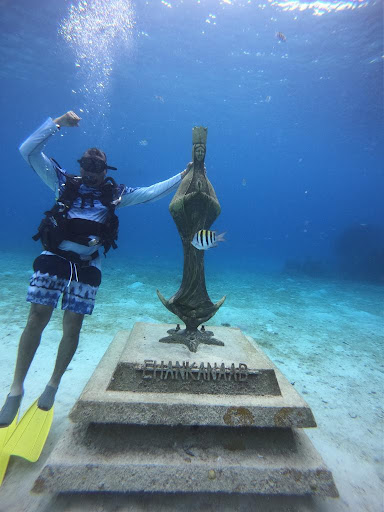 Travel Agency «Gallo Travel Agency», reviews and photos, 7216 SW 8th St #1, Miami, FL 33144, USA