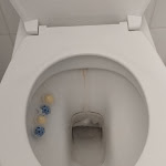 Photo n°1 de l'avis de Saskia.a fait le 28/02/2024 à 11:07 sur le  Hotel Granitz à Binz