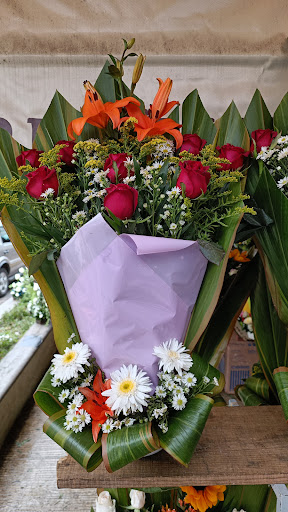 Floreria El Girasol – Misantla
