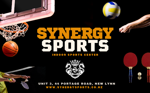Synergy Sports (Indoor Sports Center) image