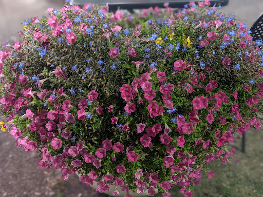 Grocery Store «Whole Foods Market», reviews and photos, 15 Westland Ave, Boston, MA 02115, USA