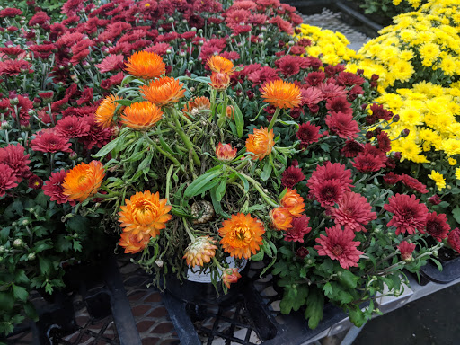 Hardware Store «Orchard Supply Hardware», reviews and photos, 2245 Gellert Blvd, South San Francisco, CA 94080, USA