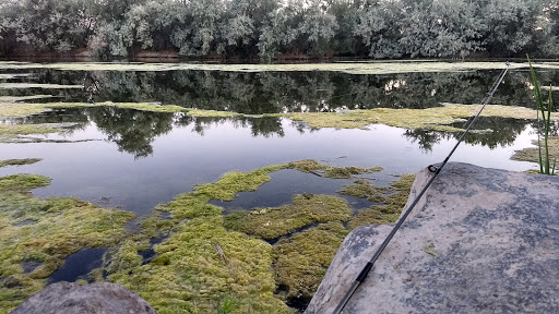 Nature Preserve «Wilson Springs Ponds», reviews and photos, 3209-3507 S Powerline Rd, Nampa, ID 83686, USA