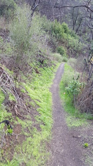 Wendy Park - photo 86