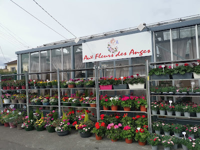 Aux Fleurs Des Anges à Saint-Étienne
