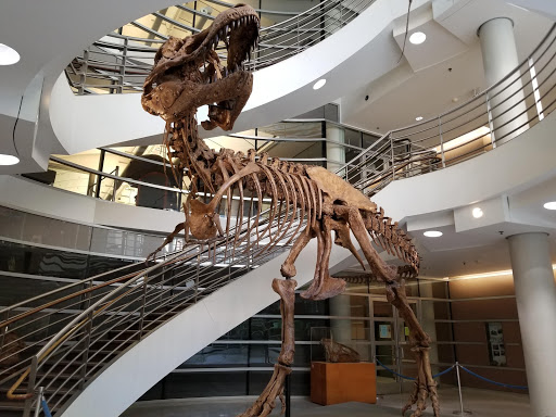 Natural History Museum «Museum of Paleontology», reviews and photos, 1101 Valley Life Sciences Bldg, Berkeley, CA 94720, USA