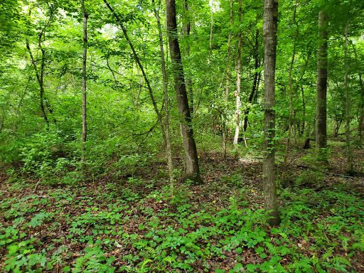 Medical Clinic «McLeod Health & Fitness Center», reviews and photos, 2437 Willwood Dr, Florence, SC 29501, USA