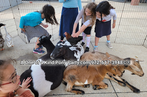 Zoo «A One of A Kind Pony Party», reviews and photos, 912 Bells Chapel Cir, Waxahachie, TX 75165, USA