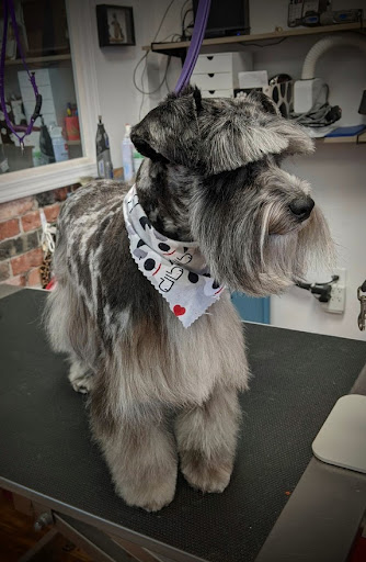 Pet Groomer «A Klassy Lassie, LLC», reviews and photos, 30 Old Jackson Rd, McDonough, GA 30252, USA