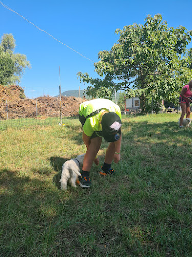Ebtanoda Kutyaiskola - Pécs