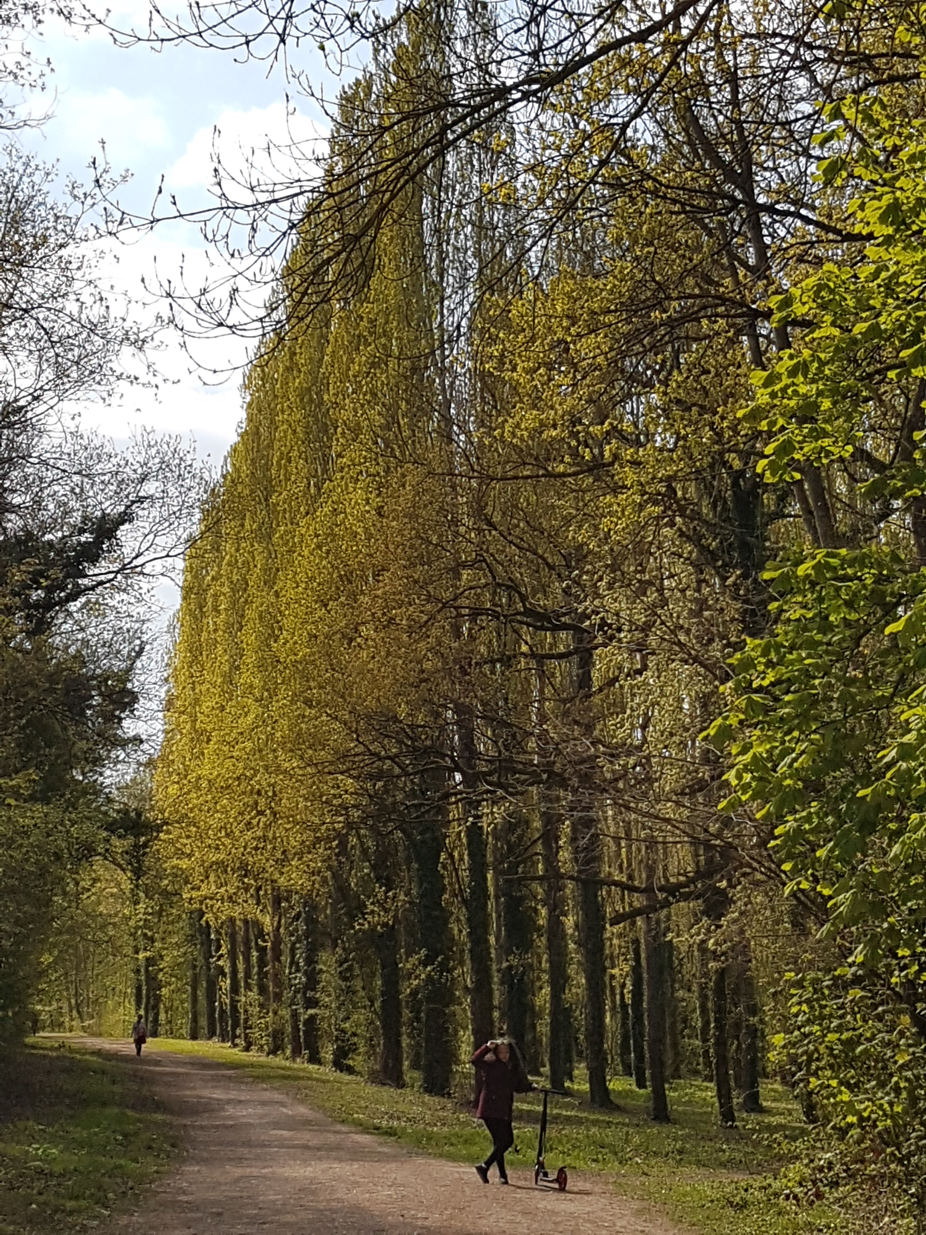 Photo n° 8 de l'avis de flo.i fait le 13/04/2019 à 15:54