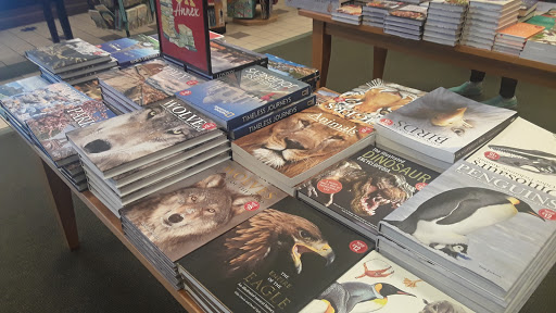 Book Store «Barnes & Noble», reviews and photos, 6134 S Westnedge Ave, Portage, MI 49002, USA