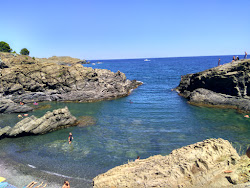 Photo de Cala Bramant avec petite baie