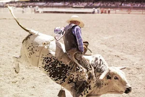 Cheyenne Frontier Days image