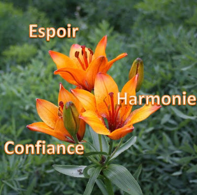 Espace Sophro Sophrologie Caycédienne à Marcq-en-Barœul