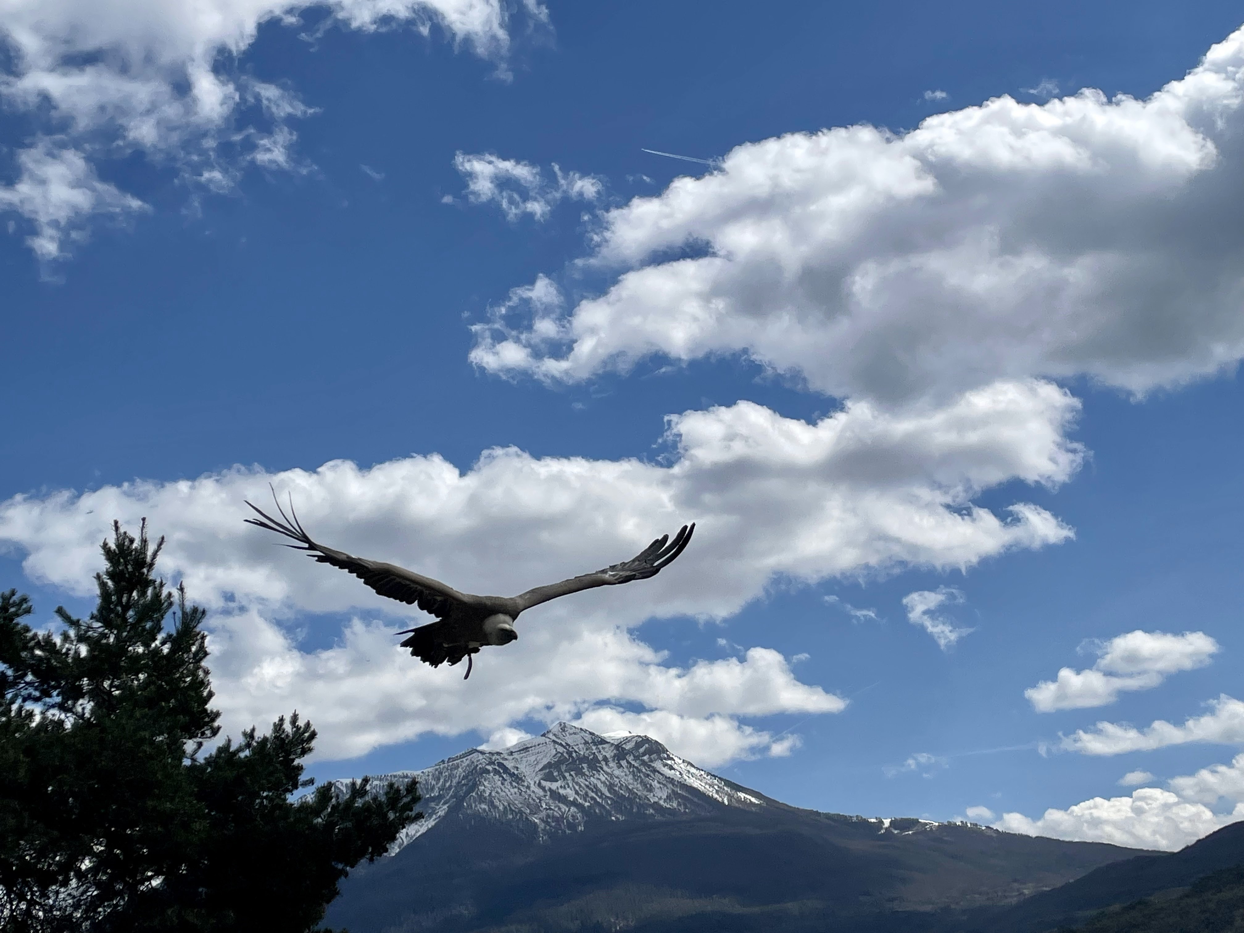 Photo n° 8 de l'avis de Anthony.a fait le 26/04/2022 à 14:57