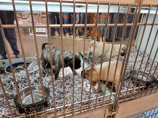 Pet Store «Back To Nature Pets & Grooming», reviews and photos, 110 N Dupont Hwy, New Castle, DE 19720, USA