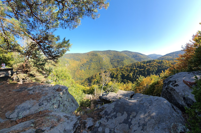 Comentarii opinii despre Фабрика за храна и танци