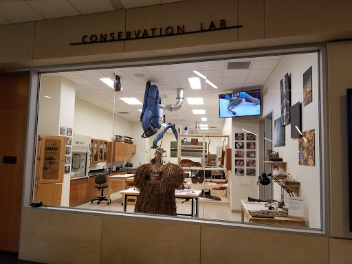 Museum «Musical Instrument Museum», reviews and photos, 4725 E Mayo Blvd, Phoenix, AZ 85050, USA