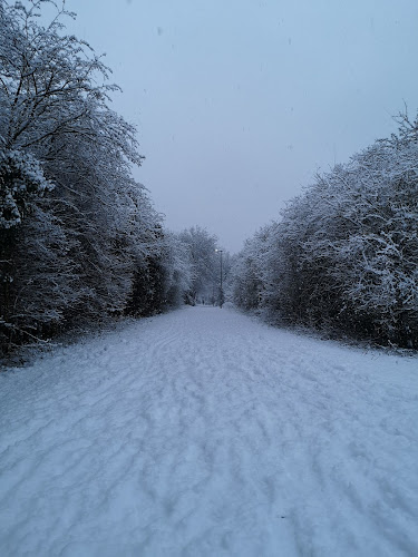 Reviews of Stillwater Lake, nature reserve in Peterborough - Other