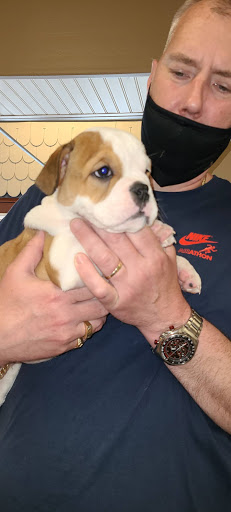 Pet Store «Village Pet Shop», reviews and photos, 701 N Black Horse Pike, Williamstown, NJ 08094, USA