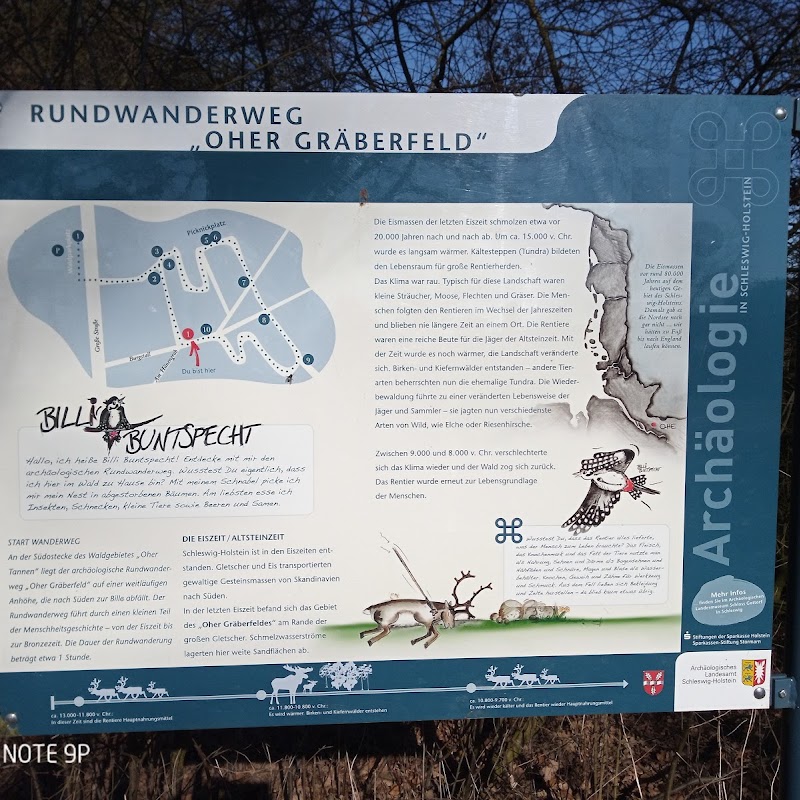 Oher Gräberfeld - Rundwanderweg