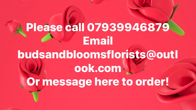 Buds and Blooms Florist - Florist