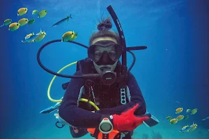 Ribeira Brava Diving Center image
