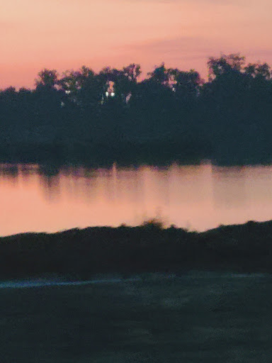 Garden Center «Pro-Lawn Garden Center», reviews and photos, 37245 FL-54, Zephyrhills, FL 33542, USA