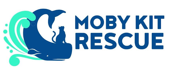 Moby Kit Rescue